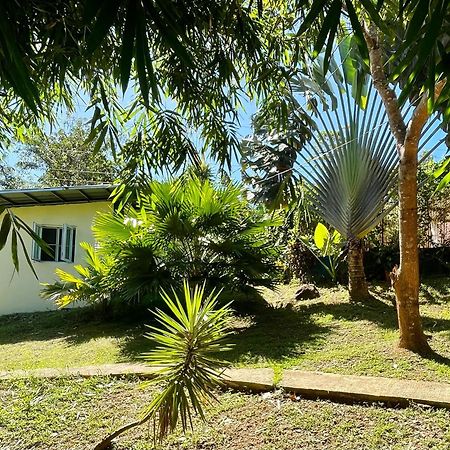Blue Moon Guesthouse Puerto Princesa Екстериор снимка