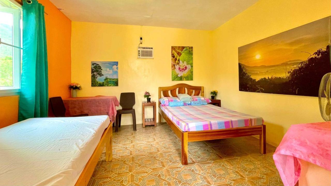 Blue Moon Guesthouse Puerto Princesa Екстериор снимка