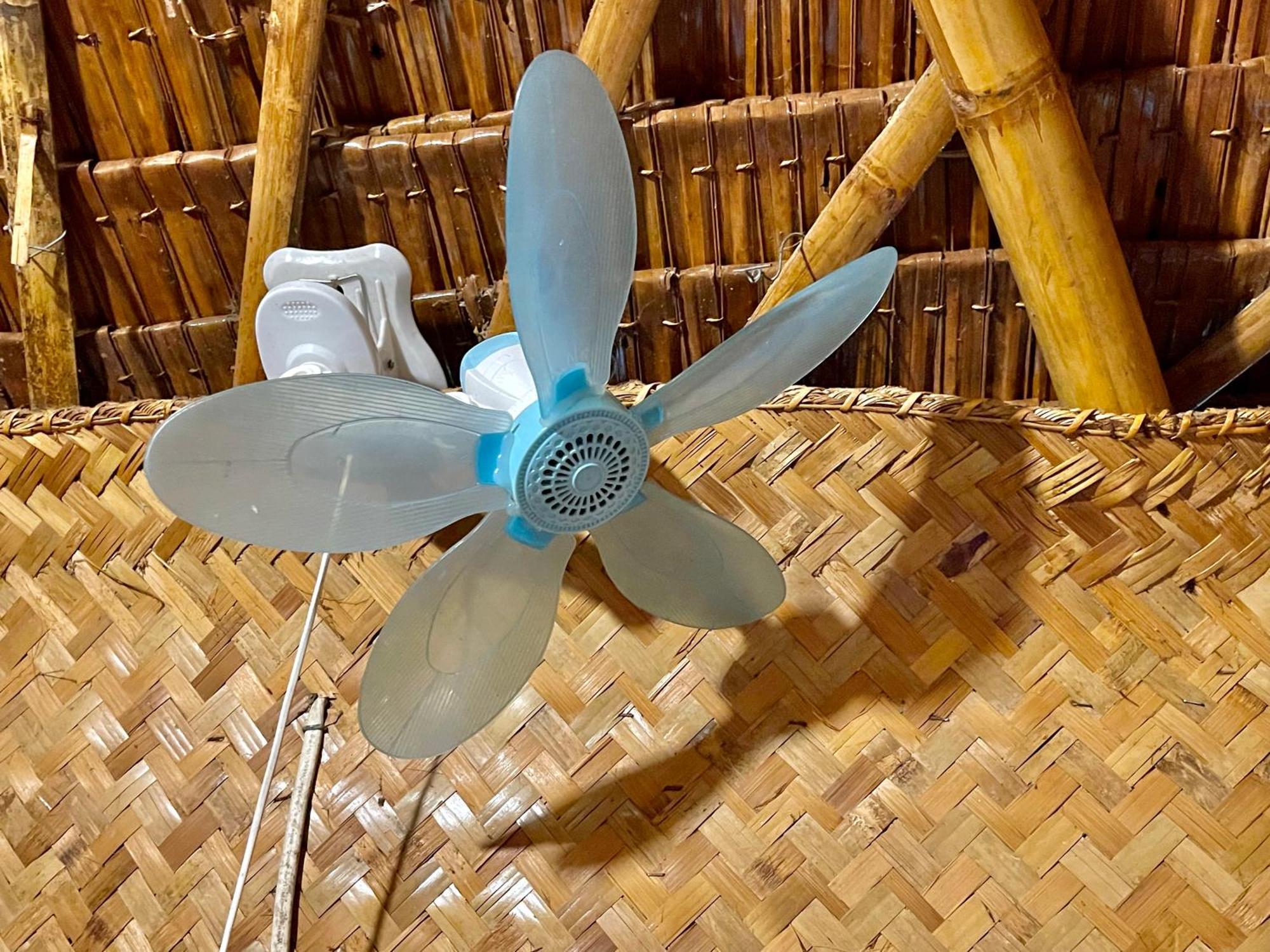 Blue Moon Guesthouse Puerto Princesa Екстериор снимка