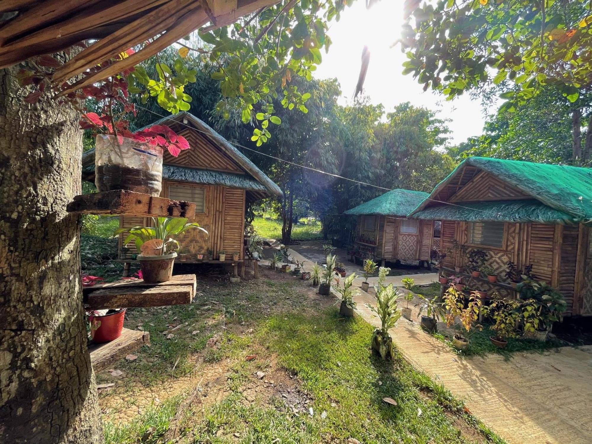 Blue Moon Guesthouse Puerto Princesa Екстериор снимка