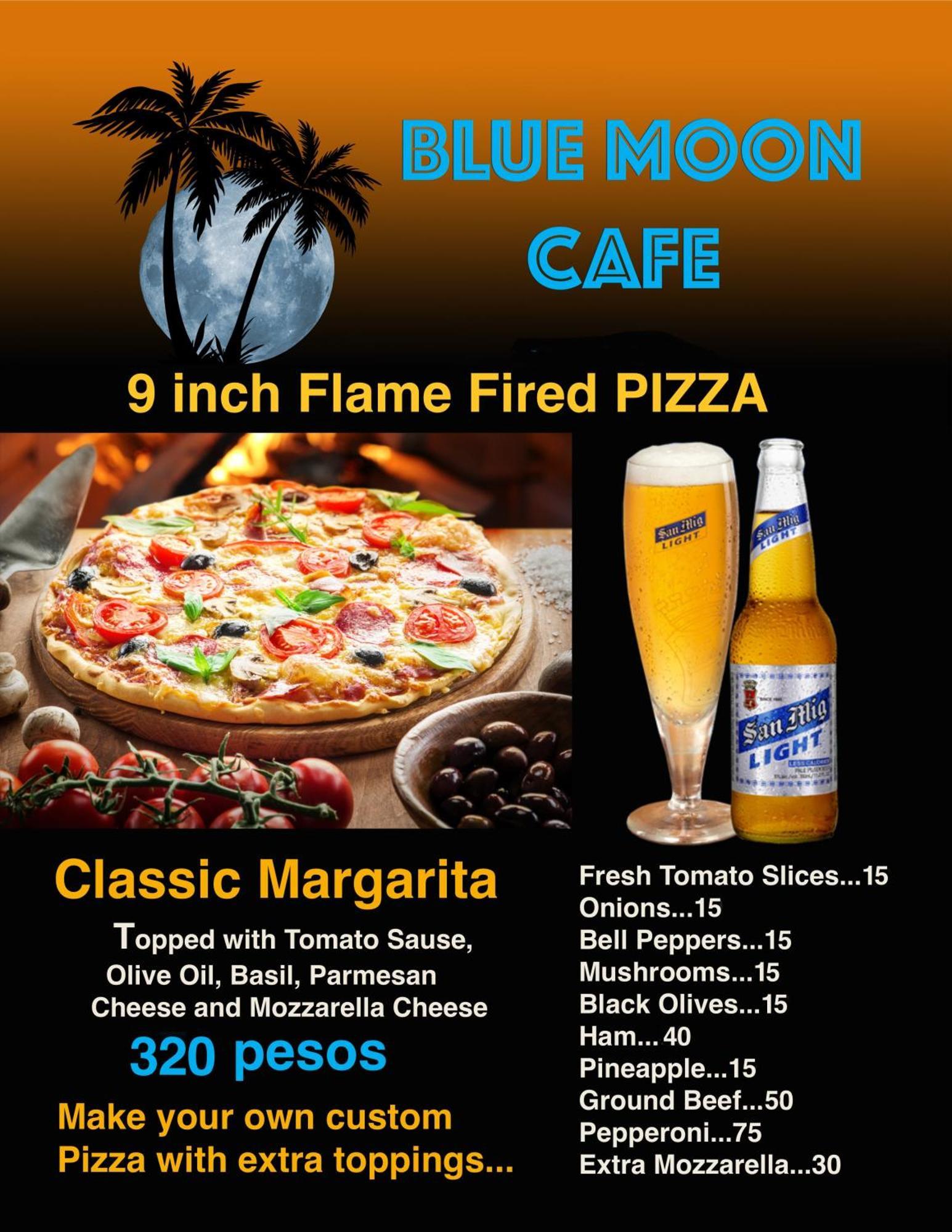Blue Moon Guesthouse Puerto Princesa Екстериор снимка